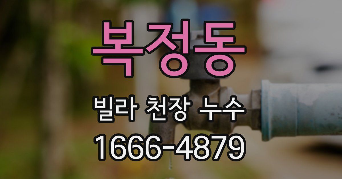 복정동 빌라 천장 누수