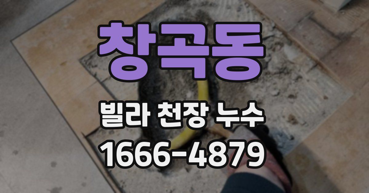 창곡동 빌라 천장 누수