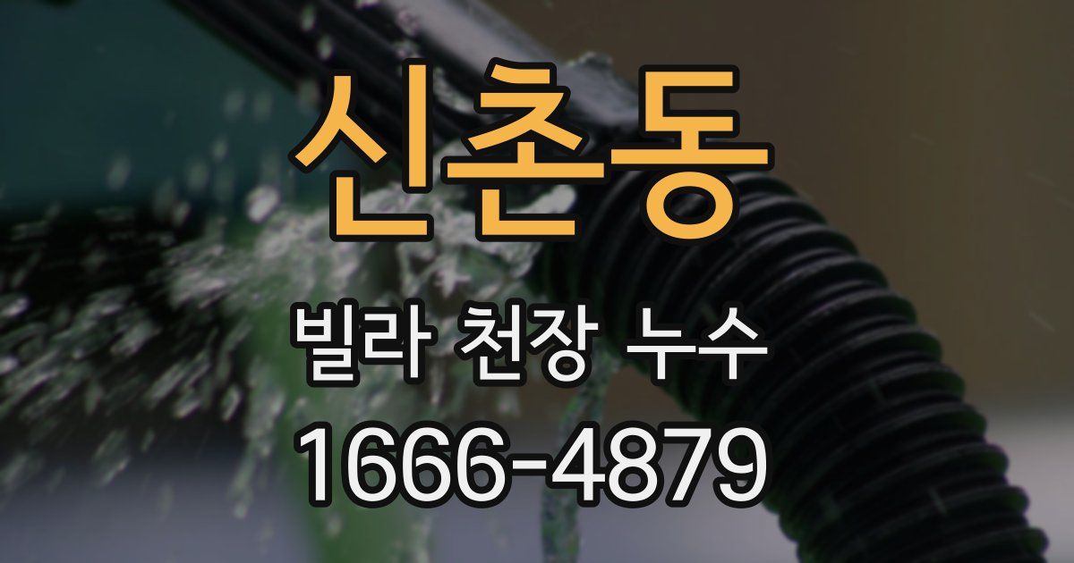 신촌동 빌라 천장 누수