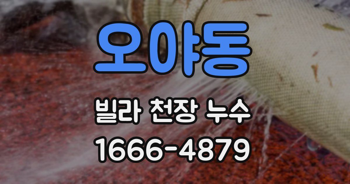 오야동 빌라 천장 누수