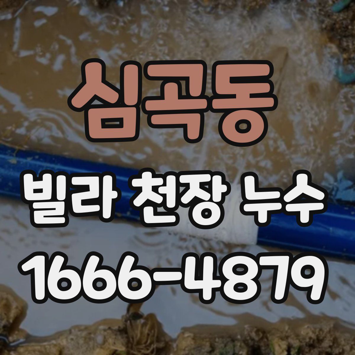 심곡동 빌라 천장 누수