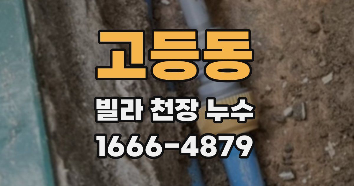 고등동 빌라 천장 누수