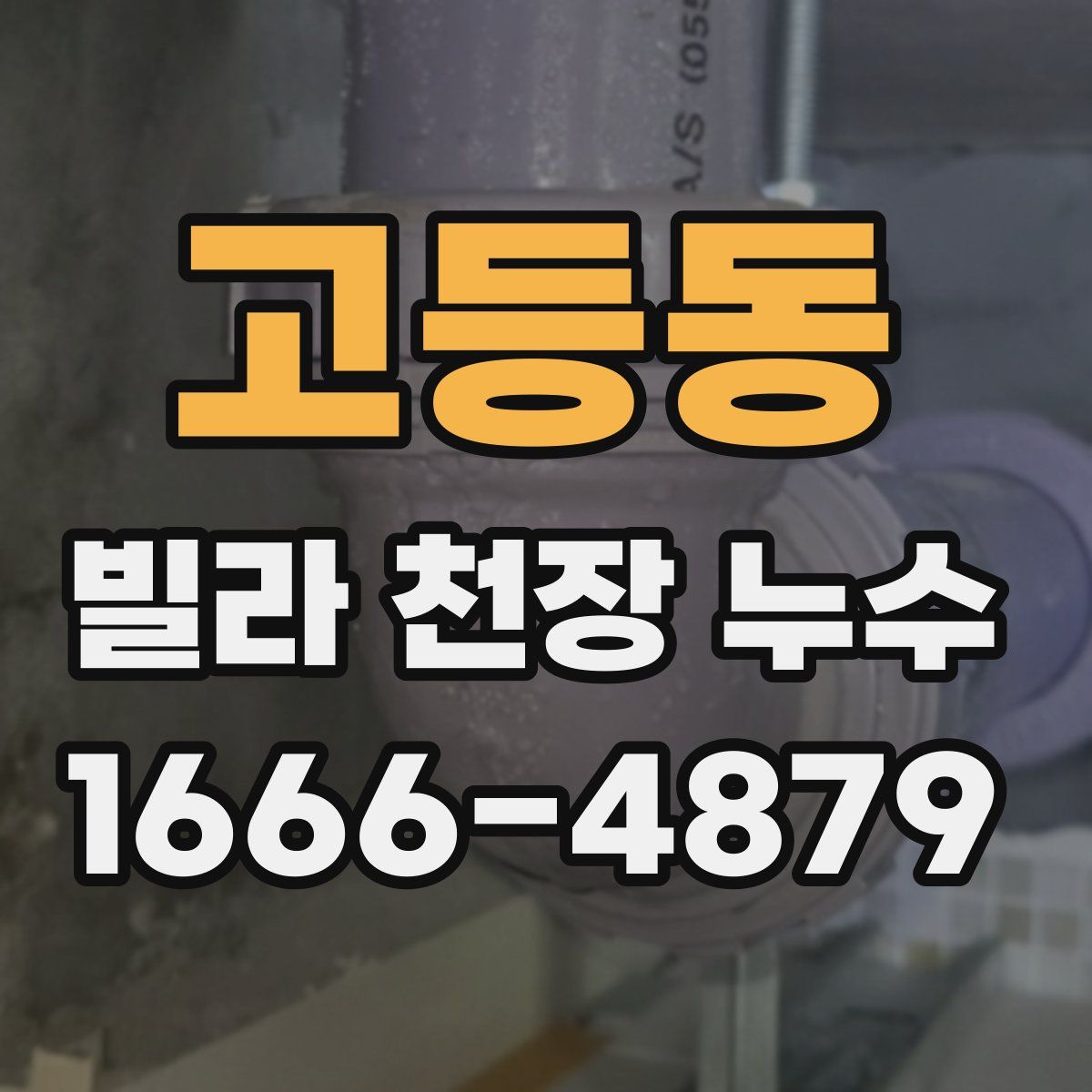 고등동 빌라 천장 누수