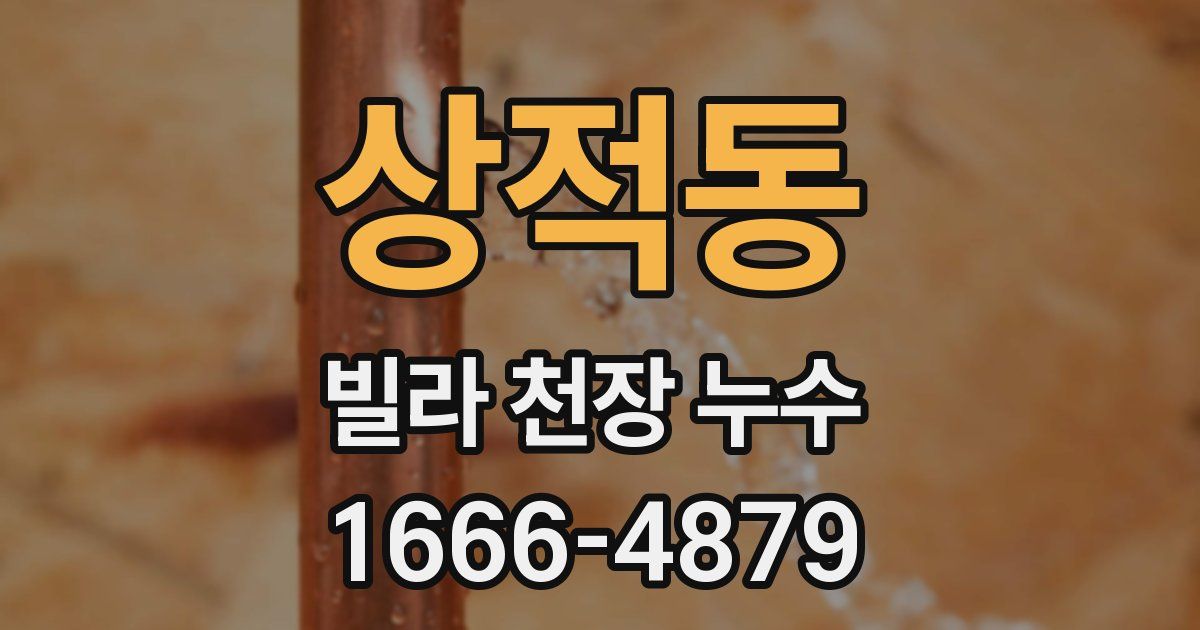 상적동 빌라 천장 누수