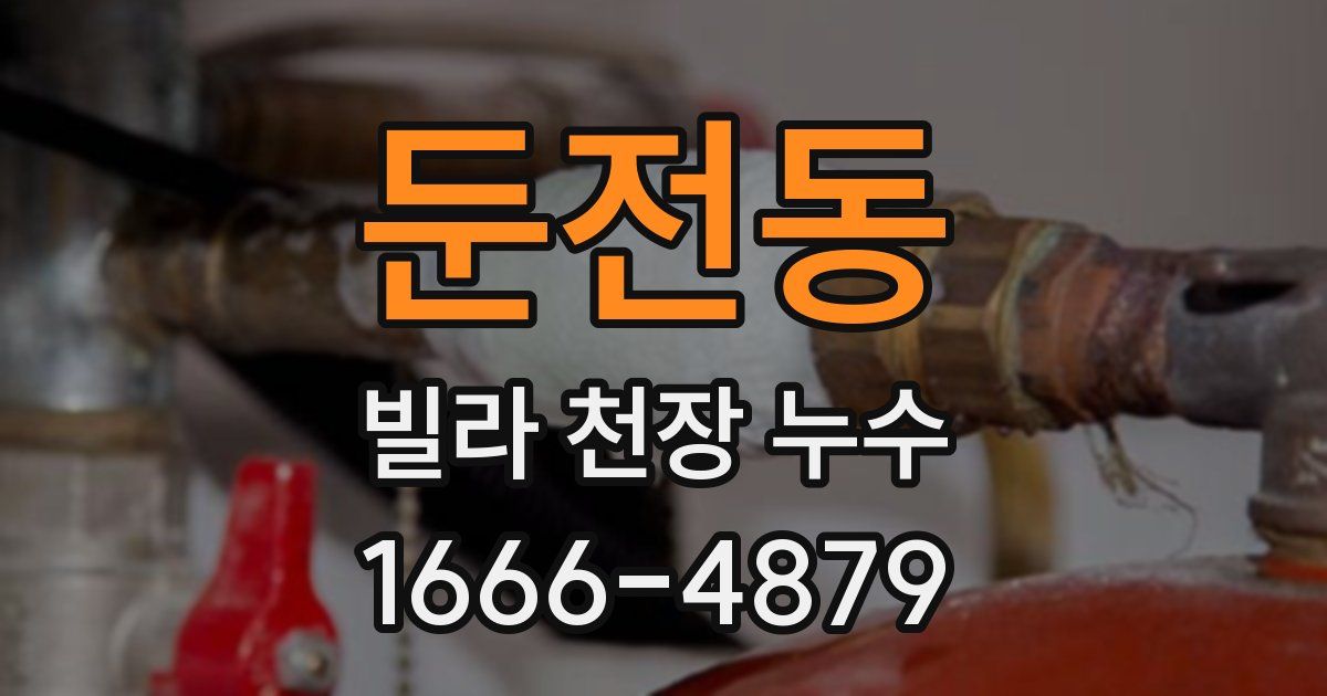 둔전동 빌라 천장 누수