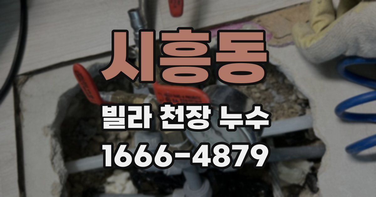 시흥동 빌라 천장 누수