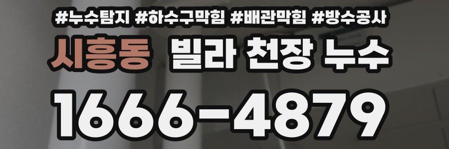 시흥동 빌라 천장 누수