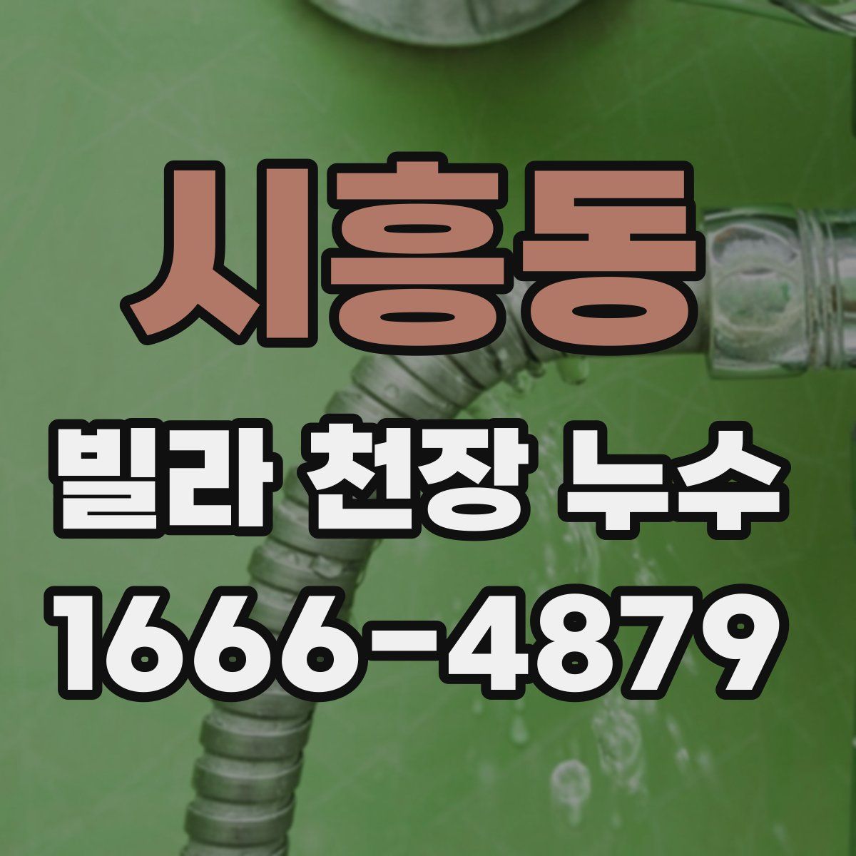 시흥동 빌라 천장 누수