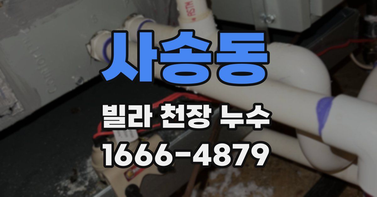 사송동 빌라 천장 누수