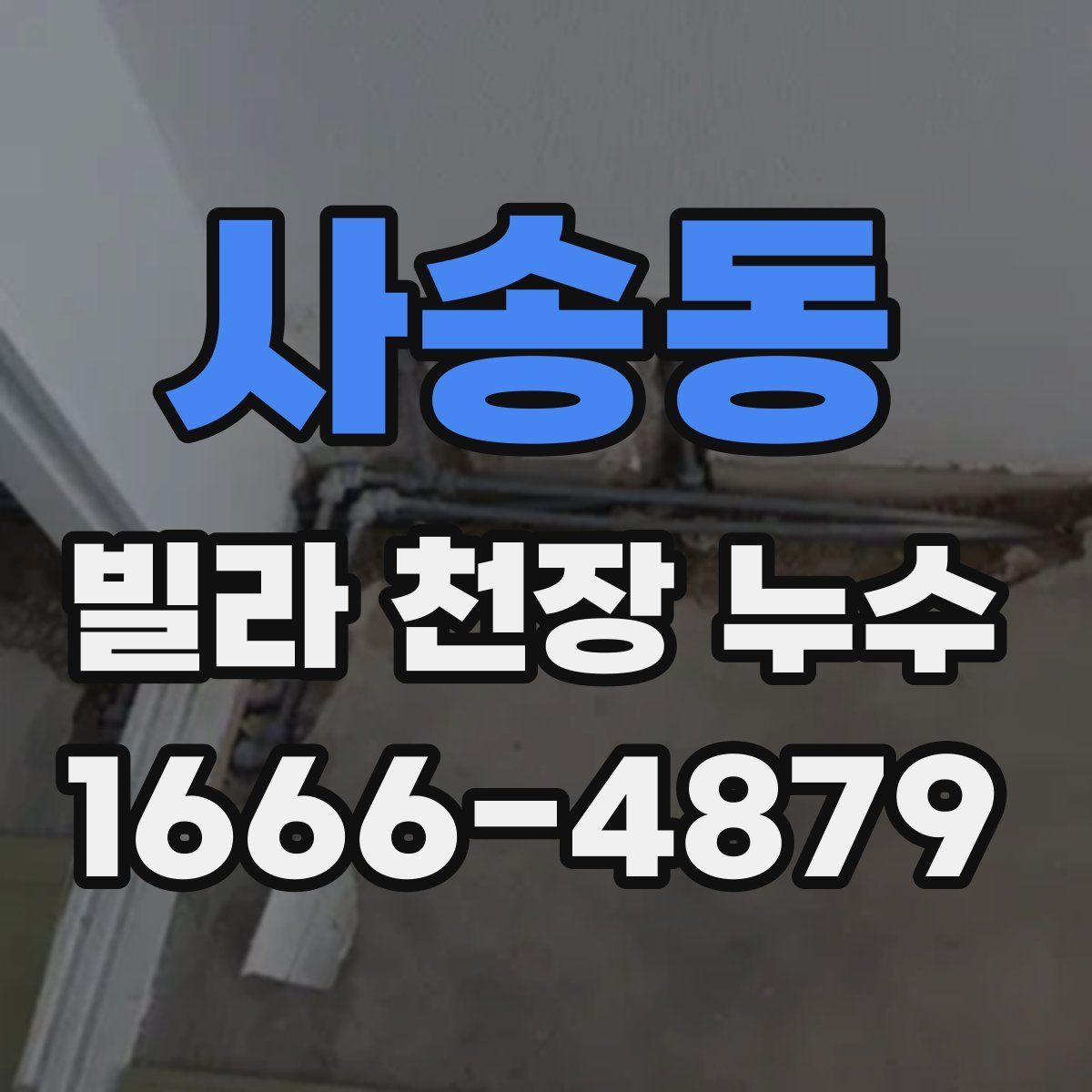 사송동 빌라 천장 누수