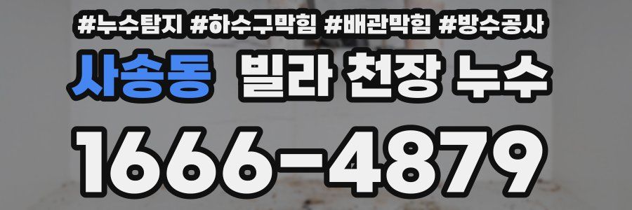 사송동 빌라 천장 누수