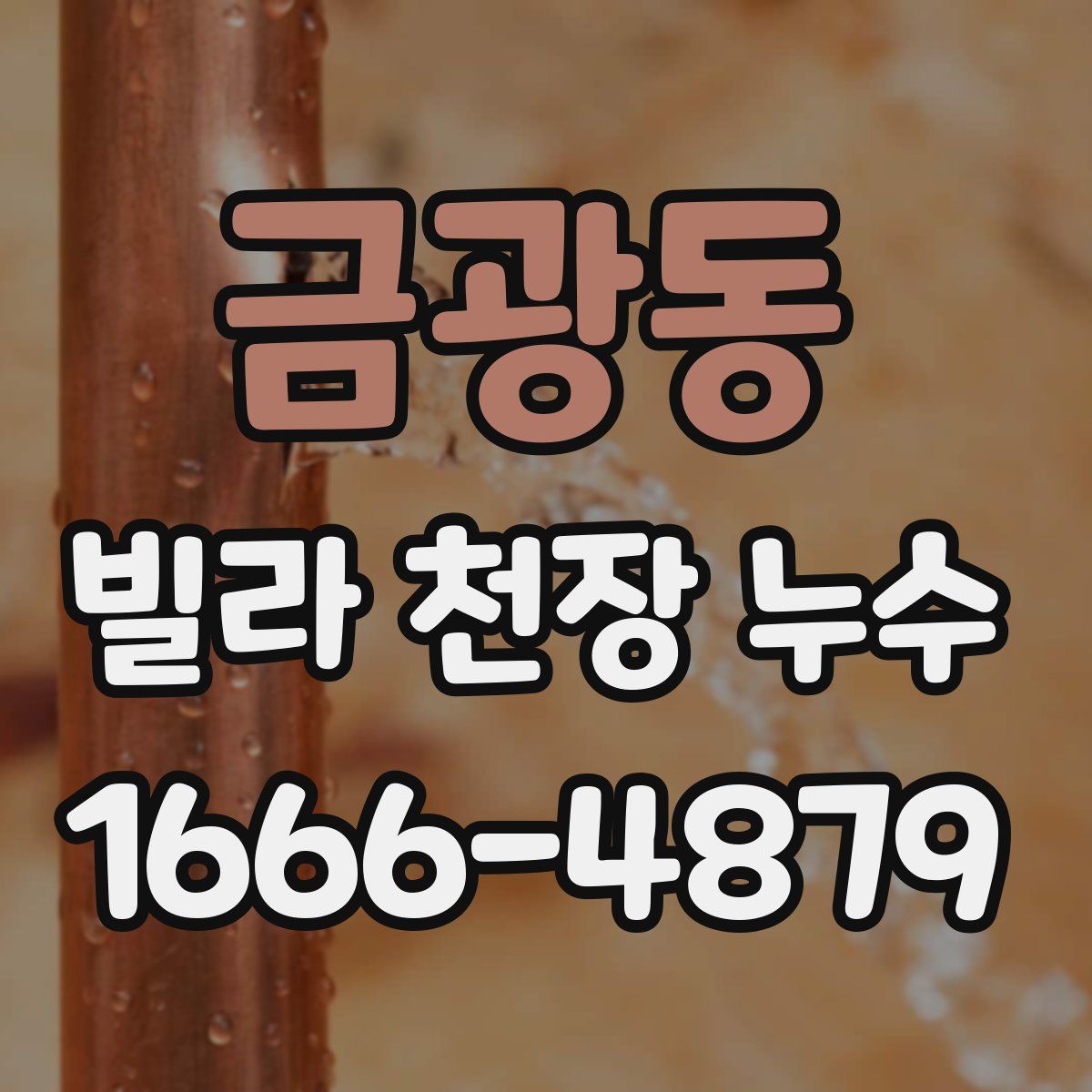 금광동 빌라 천장 누수