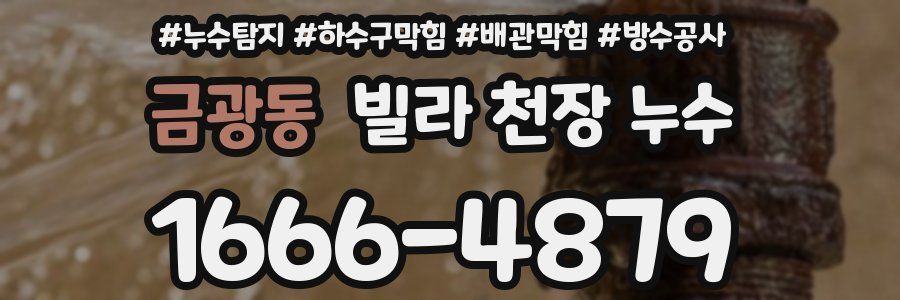 금광동 빌라 천장 누수