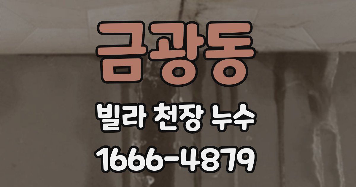 금광동 빌라 천장 누수