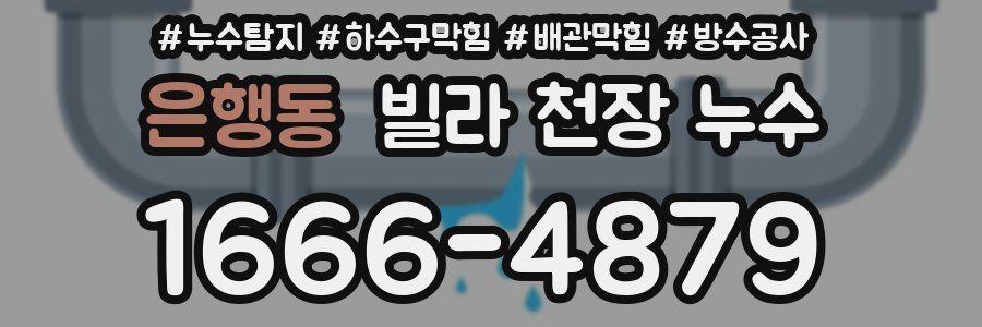 은행동 빌라 천장 누수