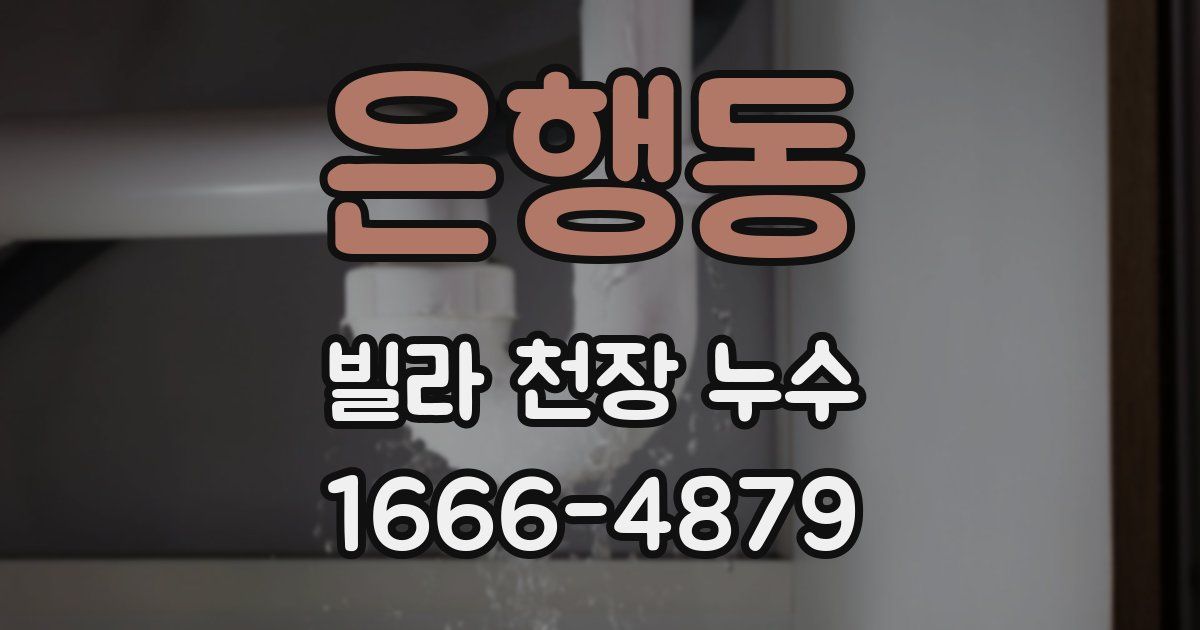 은행동 빌라 천장 누수