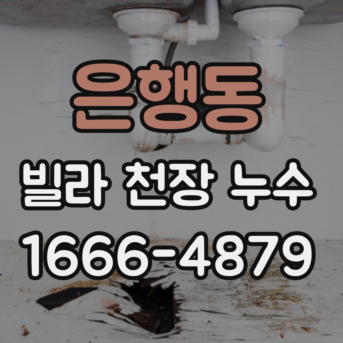은행동 빌라 천장 누수