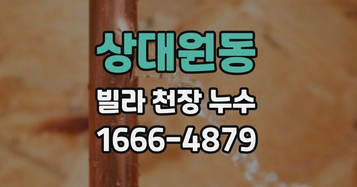 상대원동 빌라 천장 누수