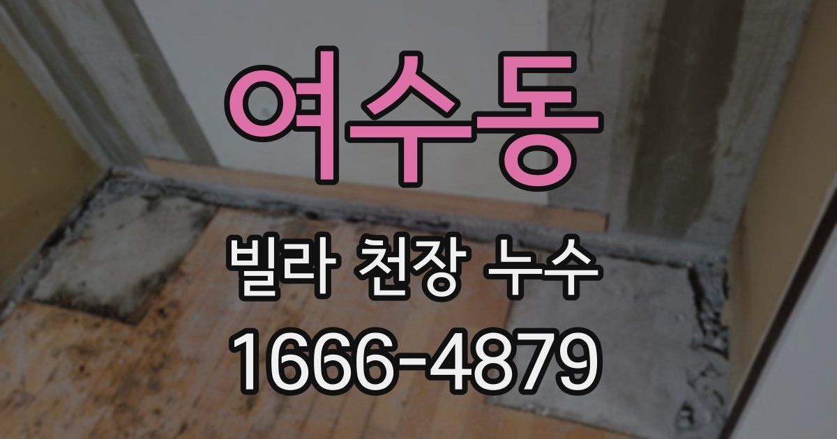 여수동 빌라 천장 누수