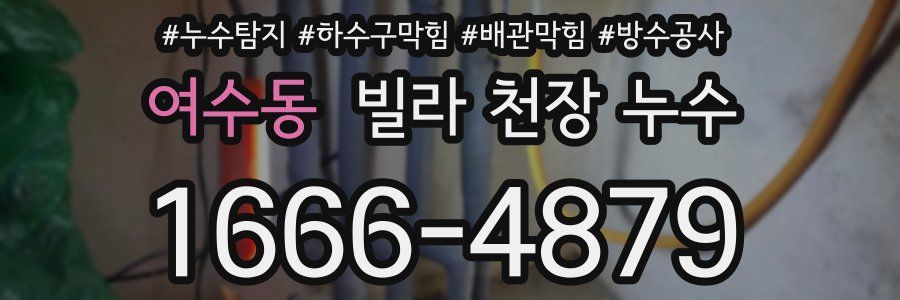 여수동 빌라 천장 누수