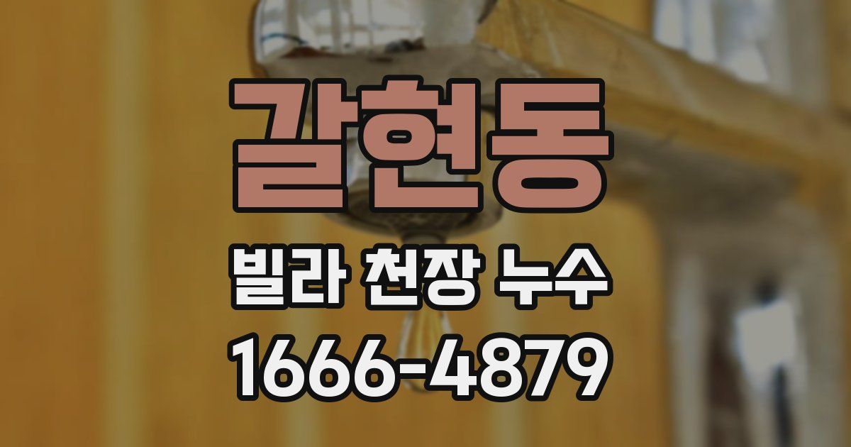 갈현동 빌라 천장 누수
