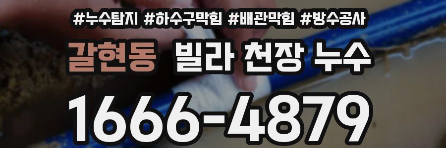 갈현동 빌라 천장 누수