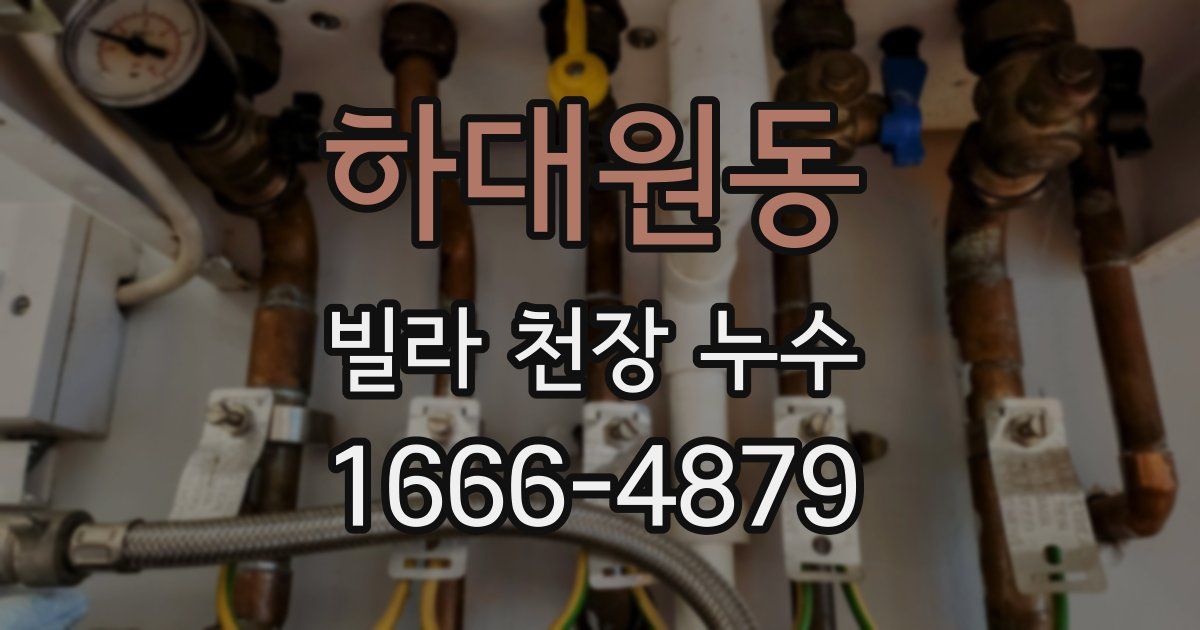 하대원동 빌라 천장 누수