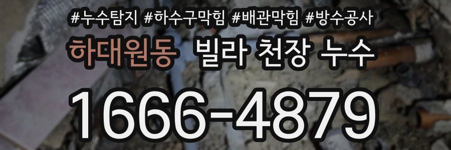 하대원동 빌라 천장 누수