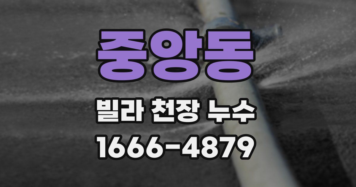 중앙동 빌라 천장 누수