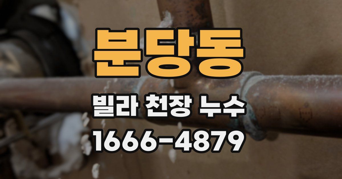 분당동 빌라 천장 누수