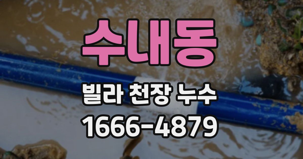 수내동 빌라 천장 누수