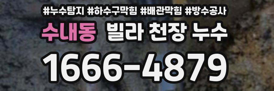 수내동 빌라 천장 누수