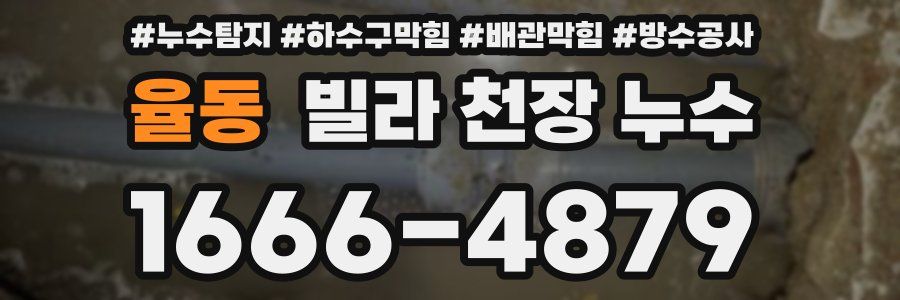 율동 빌라 천장 누수