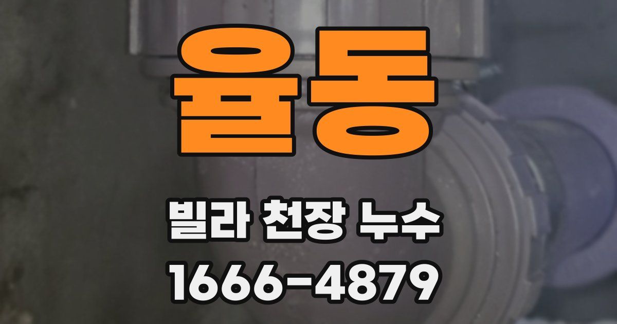 율동 빌라 천장 누수