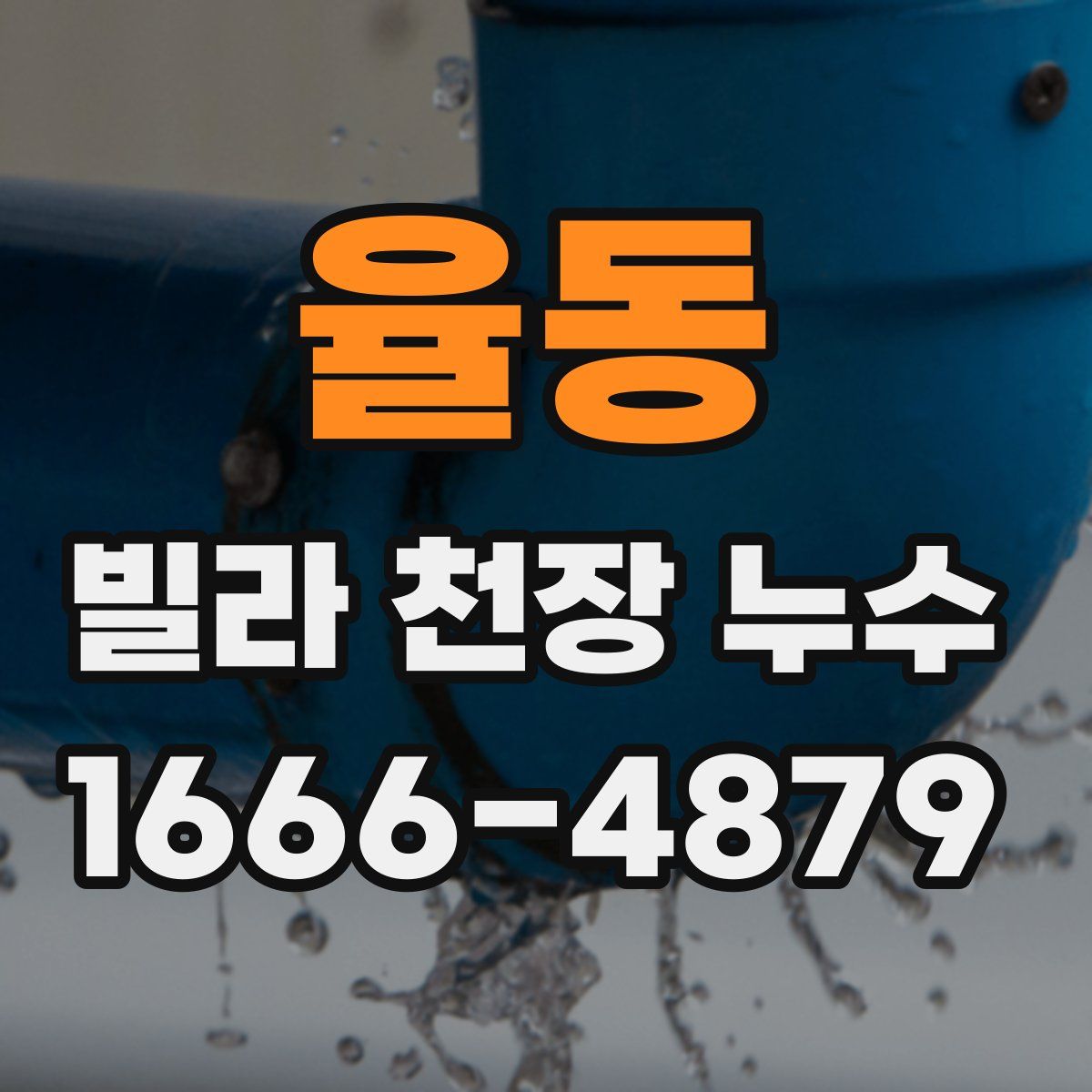 율동 빌라 천장 누수