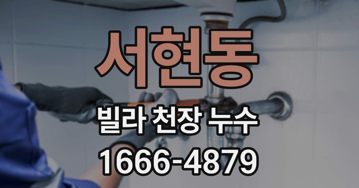 서현동 빌라 천장 누수