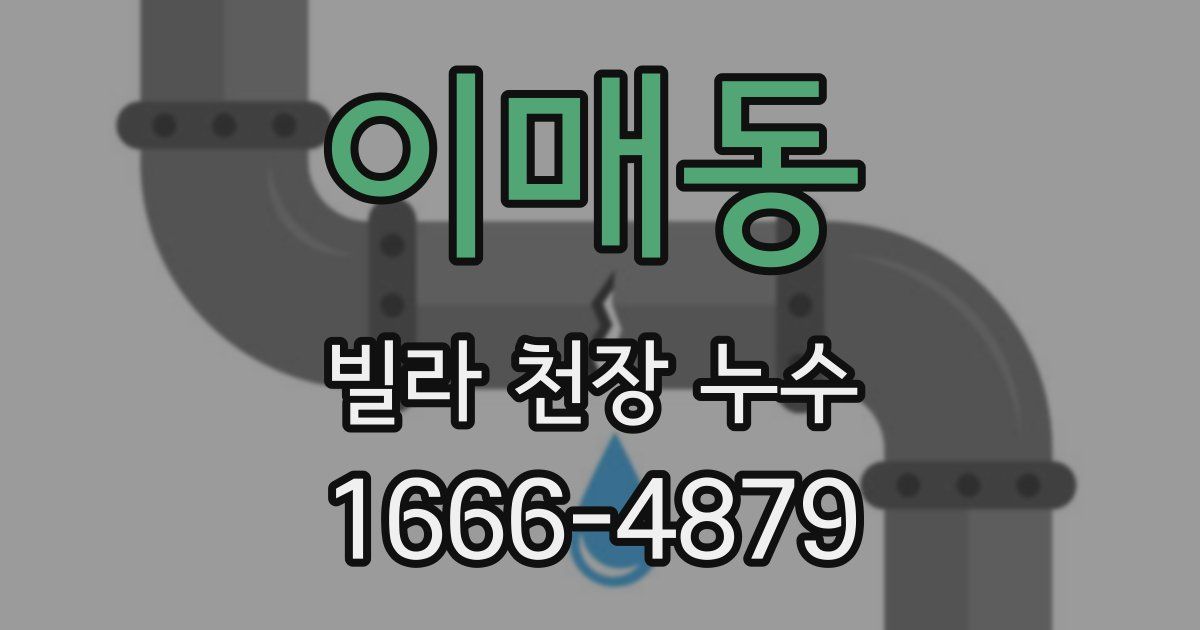 이매동 빌라 천장 누수