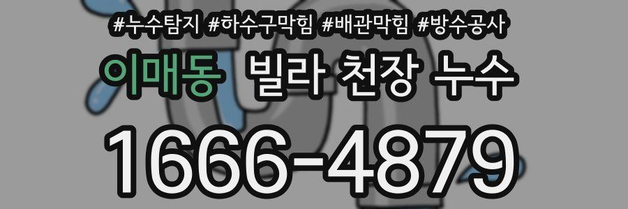 이매동 빌라 천장 누수