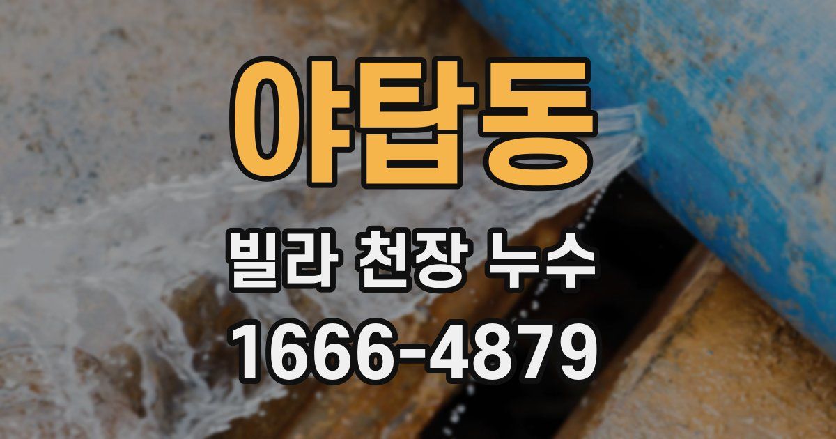 야탑동 빌라 천장 누수