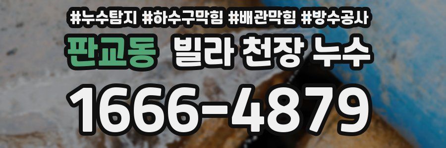 판교동 빌라 천장 누수