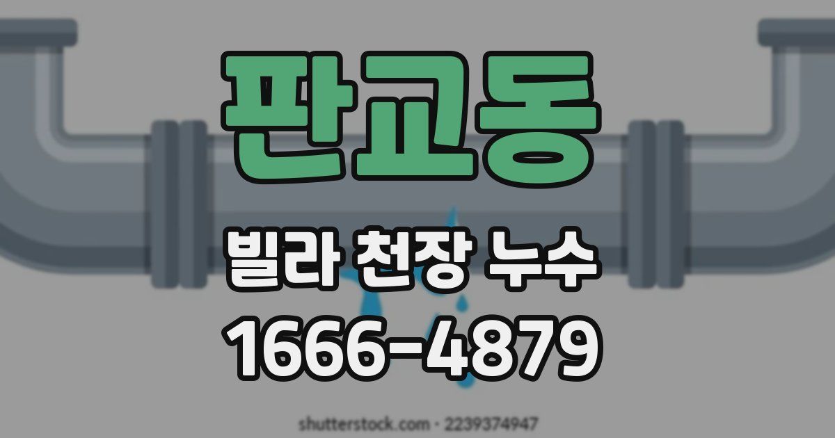 판교동 빌라 천장 누수