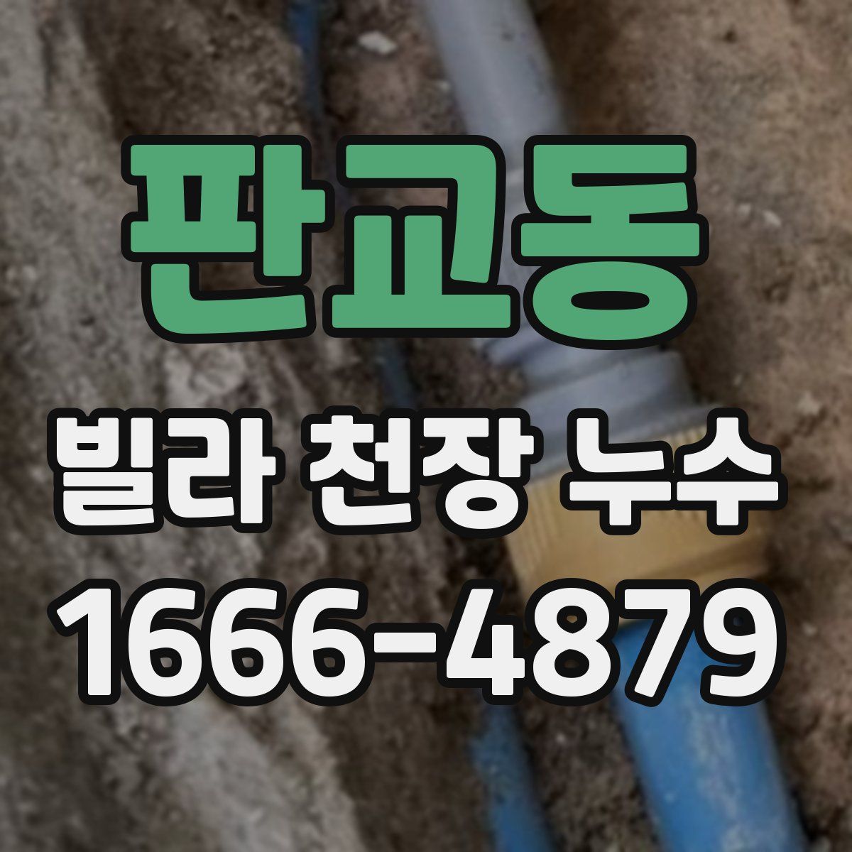 판교동 빌라 천장 누수