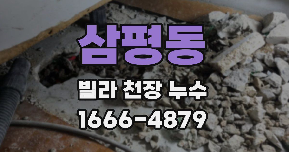 삼평동 빌라 천장 누수