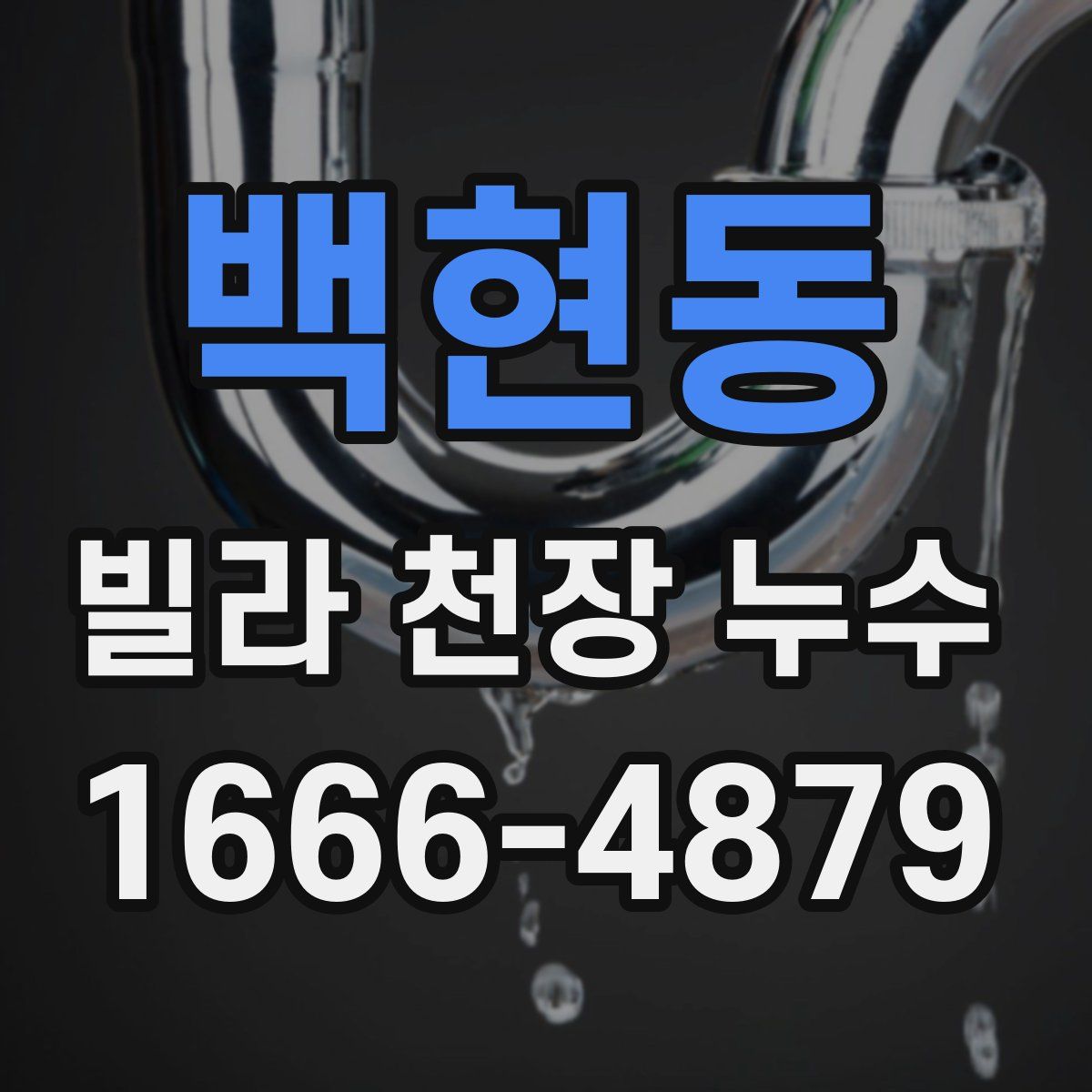 백현동 빌라 천장 누수