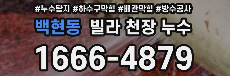 백현동 빌라 천장 누수
