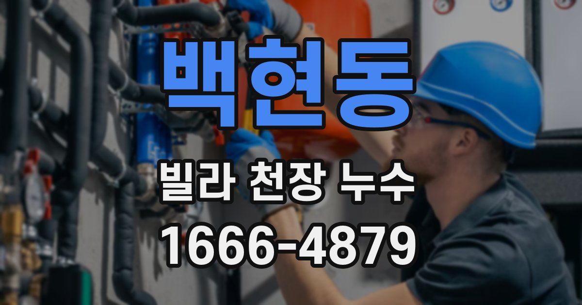 백현동 빌라 천장 누수