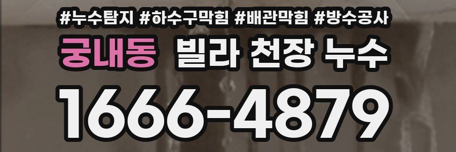 궁내동 빌라 천장 누수
