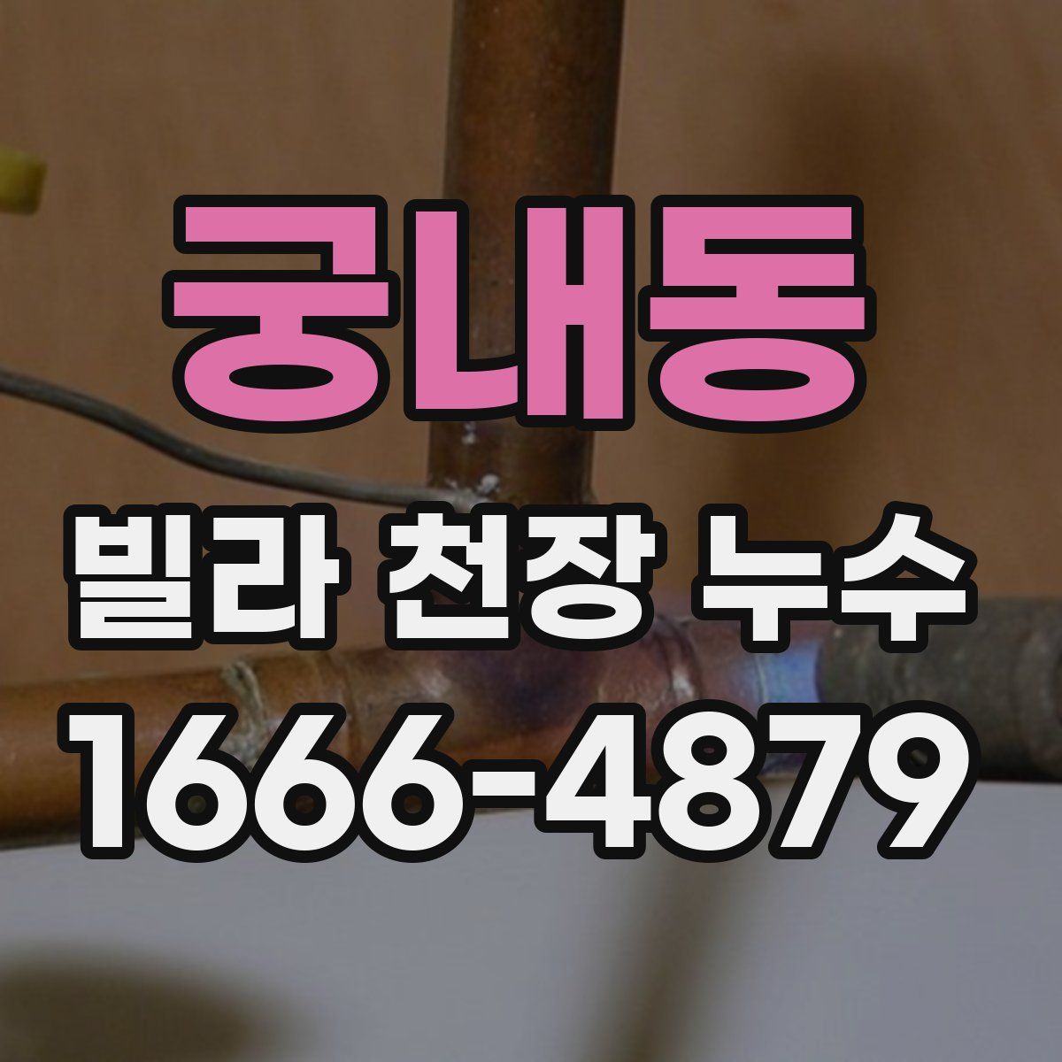 궁내동 빌라 천장 누수