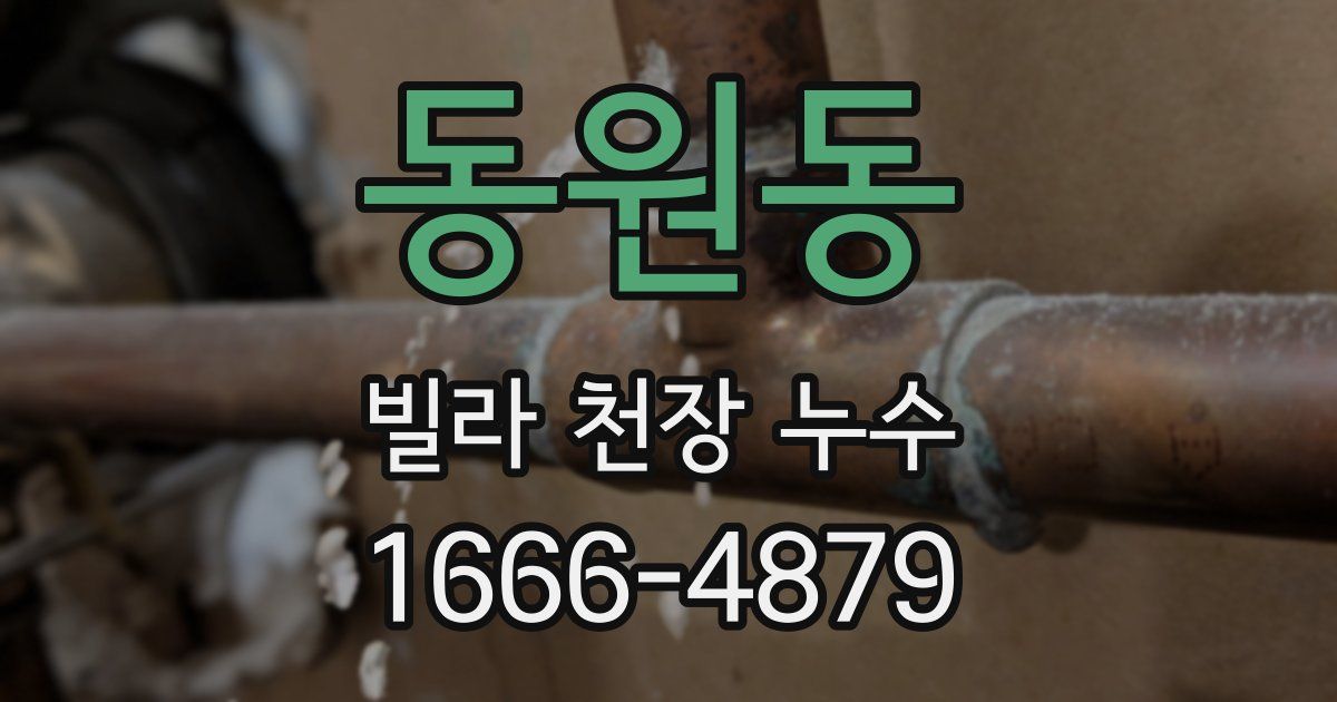 동원동 빌라 천장 누수