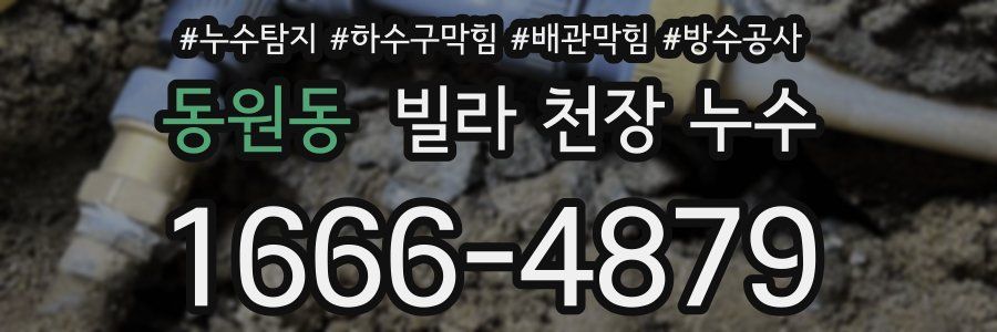 동원동 빌라 천장 누수